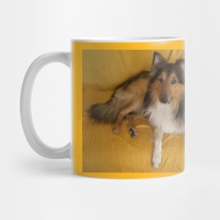 shetland sheepdog laying Mug